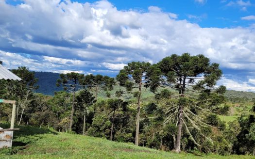 URUBICI:  Lindo rancho com 2 ou 4 Hectares e muita água
