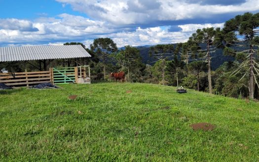 URUBICI:  Lindo rancho com 2 ou 4 Hectares e muita água