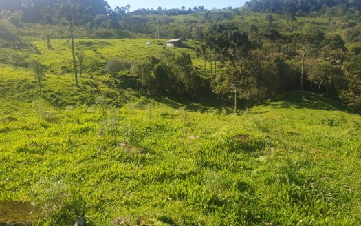 URUBICI:  Lindo rancho com 2 ou 4 Hectares e muita água