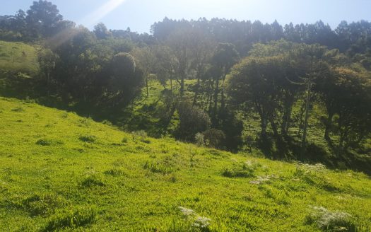 URUBICI:  Lindo rancho com 2 ou 4 Hectares e muita água
