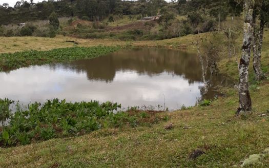 URUBICI:  Lindo rancho com 2 ou 4 Hectares e muita água