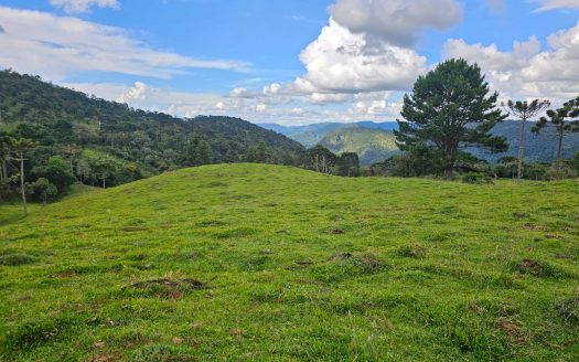 URUBICI:  Lindo rancho com 2 ou 4 Hectares e muita água