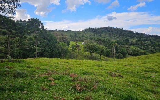 URUBICI:  Lindo rancho com 2 ou 4 Hectares e muita água