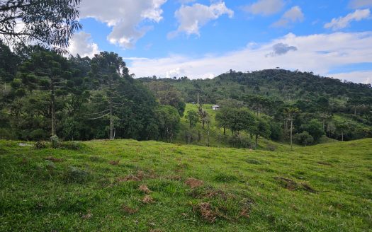 URUBICI:  Lindo rancho com 2 ou 4 Hectares e muita água