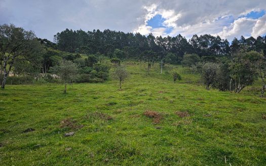 URUBICI:  Lindo rancho com 2 ou 4 Hectares e muita água