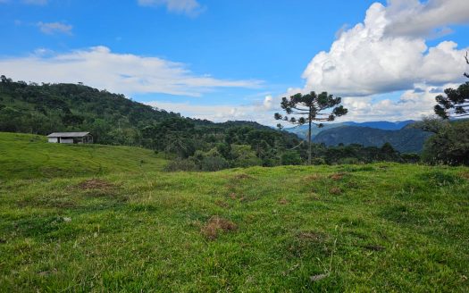 URUBICI:  Lindo rancho com 2 ou 4 Hectares e muita água