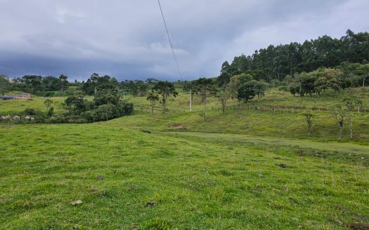 URUBICI:  Lindo rancho com 2 ou 4 Hectares e muita água