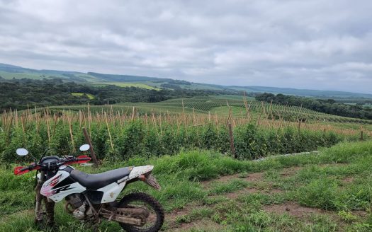 LINDA FAZENDA 188 Hcts. – Ótimo para soja (Divisa com Bom Retiro S/C.)