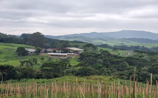 LINDA FAZENDA 188 Hcts. – Ótimo para soja (Divisa com Bom Retiro S/C.)