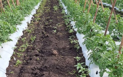 LINDA FAZENDA 188 Hcts. – Ótimo para soja (Divisa com Bom Retiro S/C.)