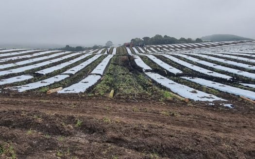 LINDA FAZENDA 188 Hcts. – Ótimo para soja (Divisa com Bom Retiro S/C.)