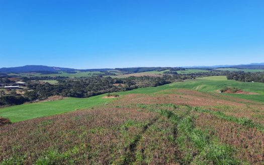 LINDA FAZENDA 188 Hcts. – Ótimo para soja (Divisa com Bom Retiro S/C.)