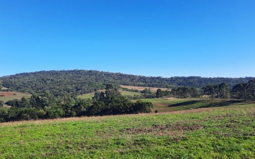 LINDA FAZENDA 188 Hcts. – Ótimo para soja (Divisa com Bom Retiro S/C.)