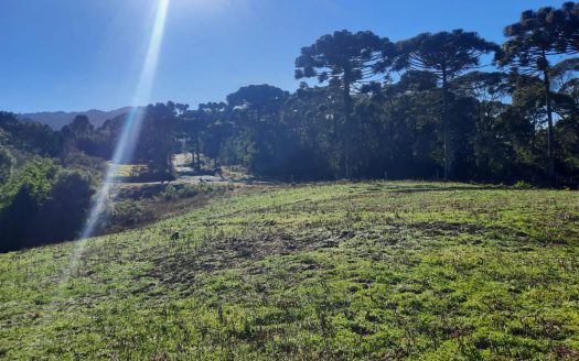 LINDA FAZENDA 188 Hcts. – Ótimo para soja (Divisa com Bom Retiro S/C.)