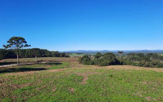 LINDA FAZENDA 188 Hcts. – Ótimo para soja (Divisa com Bom Retiro S/C.)