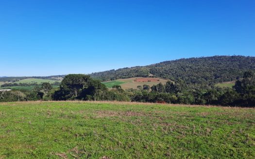 LINDA FAZENDA 188 Hcts. – Ótimo para soja (Divisa com Bom Retiro S/C.)