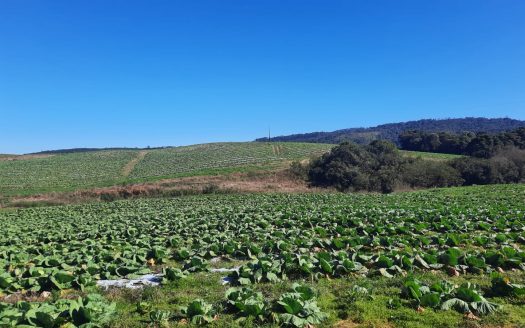 LINDA FAZENDA 188 Hcts. – Ótimo para soja (Divisa com Bom Retiro S/C.)