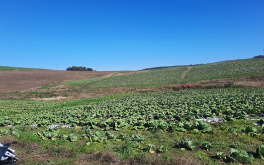 LINDA FAZENDA 188 Hcts. – Ótimo para soja (Divisa com Bom Retiro S/C.)