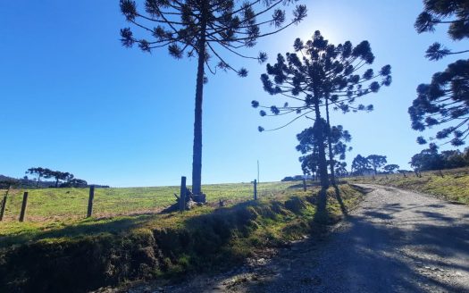 LINDA FAZENDA 188 Hcts. – Ótimo para soja (Divisa com Bom Retiro S/C.)