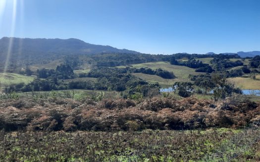 LINDA FAZENDA 188 Hcts. – Ótimo para soja (Divisa com Bom Retiro S/C.)