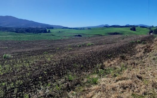 LINDA FAZENDA 188 Hcts. – Ótimo para soja (Divisa com Bom Retiro S/C.)