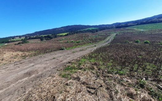 LINDA FAZENDA 188 Hcts. – Ótimo para soja (Divisa com Bom Retiro S/C.)