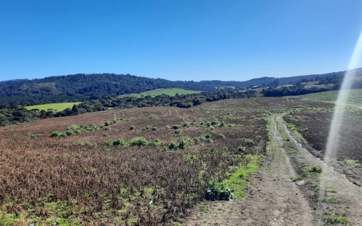 LINDA FAZENDA 188 Hcts. – Ótimo para soja (Divisa com Bom Retiro S/C.)