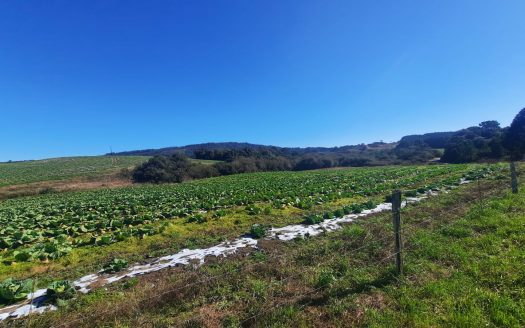 LINDA FAZENDA 188 Hcts. – Ótimo para soja (Divisa com Bom Retiro S/C.)