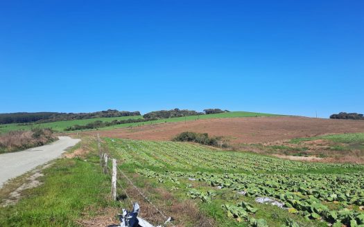 LINDA FAZENDA 188 Hcts. – Ótimo para soja (Divisa com Bom Retiro S/C.)