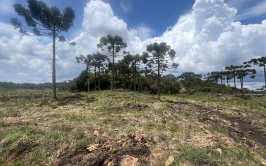 URUBICI: Excelente área com 2 hectares próx. à cidade