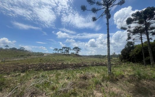 URUBICI: Excelente área com 2 hectares próx. à cidade