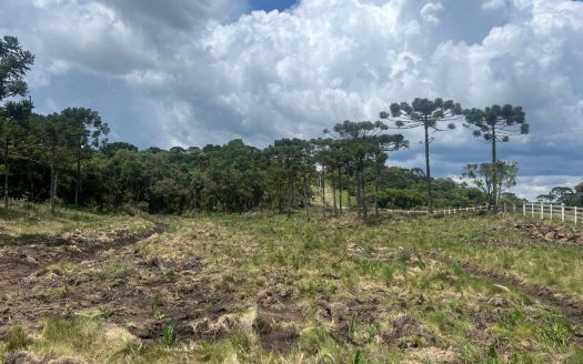 URUBICI: Excelente área com 2 hectares próx. à cidade