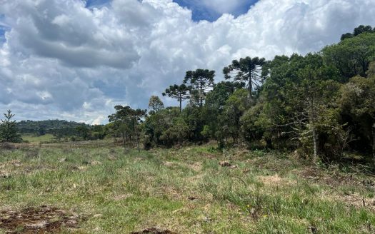 URUBICI: Excelente área com 2 hectares próx. à cidade