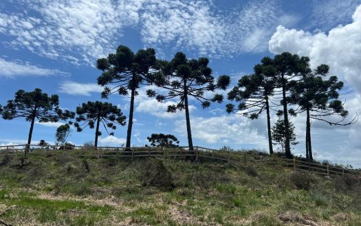 URUBICI: Excelente área com 2 hectares próx. à cidade