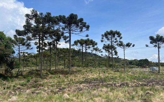 URUBICI: Excelente área com 2 hectares próx. à cidade