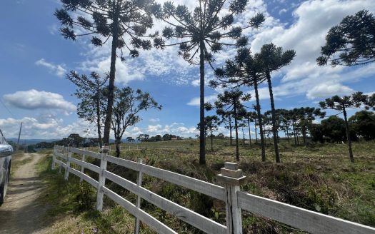 URUBICI: Excelente área com 2 hectares próx. à cidade