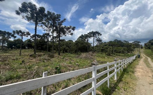 URUBICI: Excelente área com 2 hectares próx. à cidade