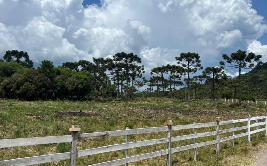 URUBICI: Excelente área com 2 hectares próx. à cidade