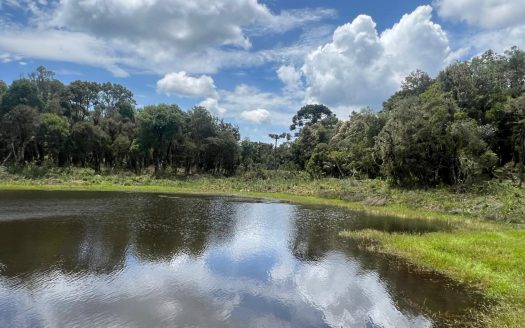 URUBICI: Excelente área com 2 hectares próx. à cidade