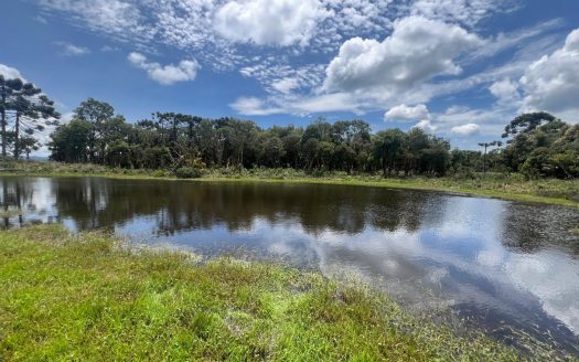 URUBICI: Excelente área com 2 hectares próx. à cidade